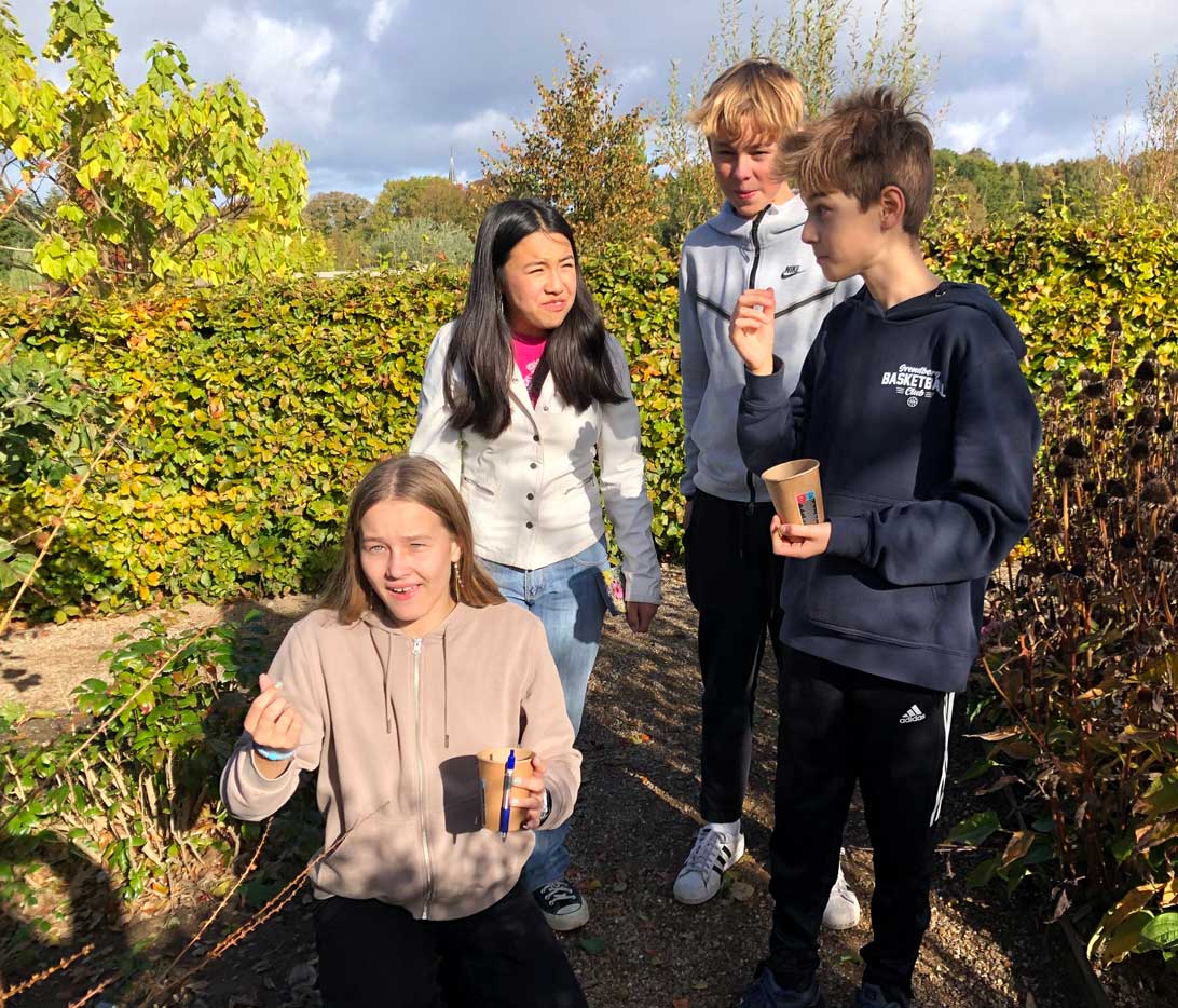 Elever fra 7. klasse på Haahrs Skole i Svendborg smager på azteksukker-planten. i Haven for fordøjelse, stofskifte og ernæring. 