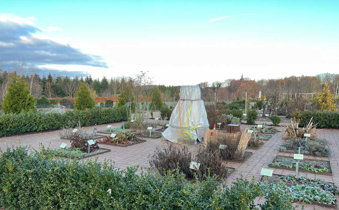 13. december 2022: Hildegard af Bingens Have på en frysende kold sidste arbejdsdag i 2022.