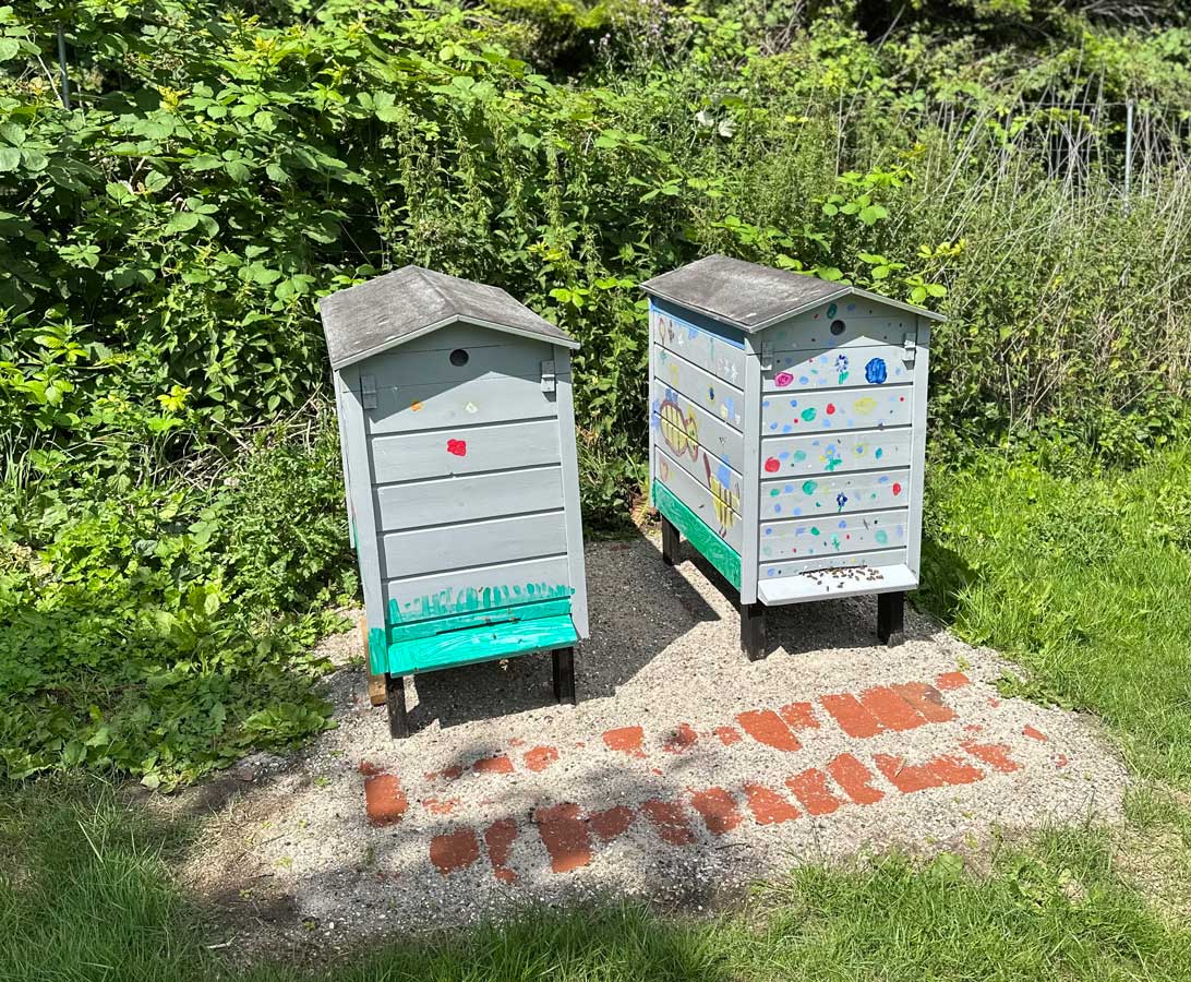 18.07.2023: Vi har fået bier. Langelands Biavlerforening har venligst lånt os to bistader. 